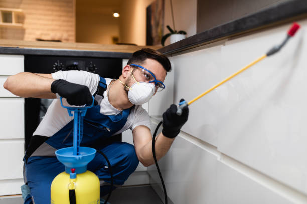 Best Residential Pest Control  in Williamston, SC