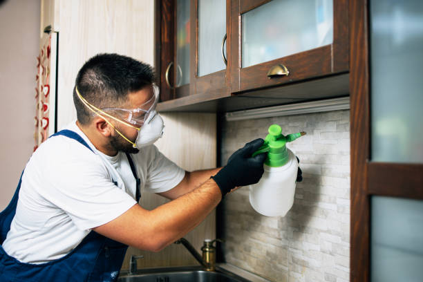 Best Flea Control Services  in Williamston, SC