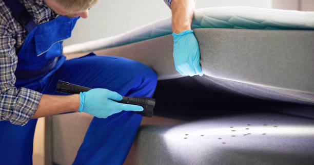Best Emergency Pest Control  in Williamston, SC