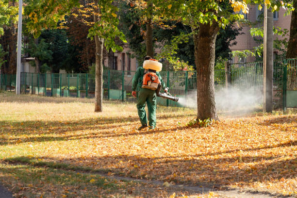 Best Flea Control Services  in Williamston, SC